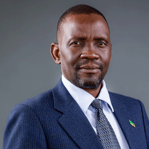 Mr. McDonald G. Chipenzi
